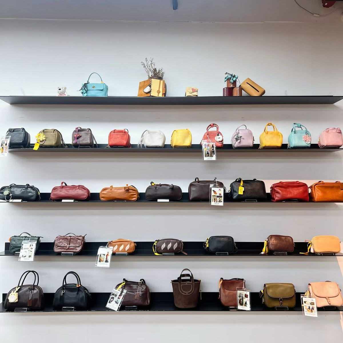 Colourful compact bags in the Sunchain photo collection